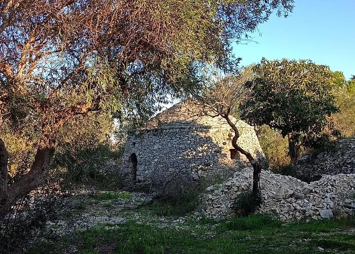 B&B Verdeoliva