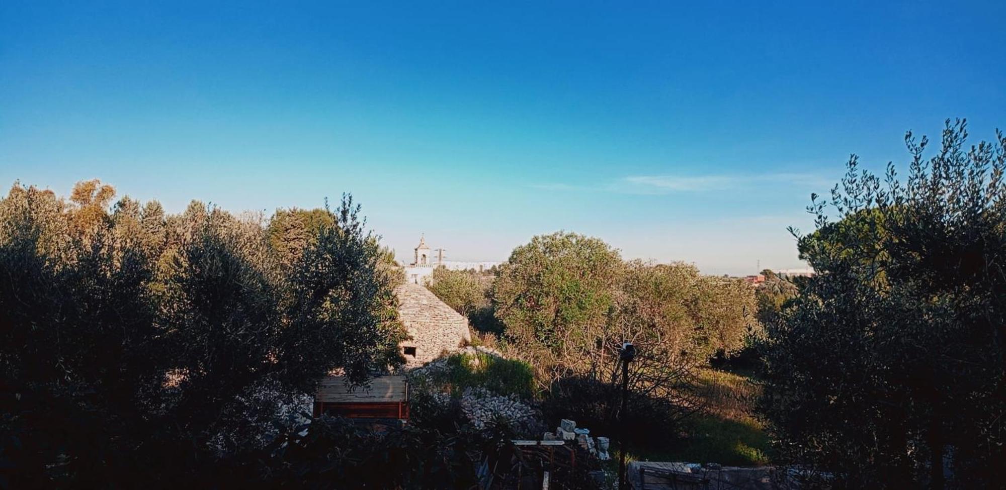 Bed & Breakfast Verdeoliva